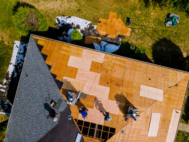 Best Roof Restoration Services  in Wentworth, NC